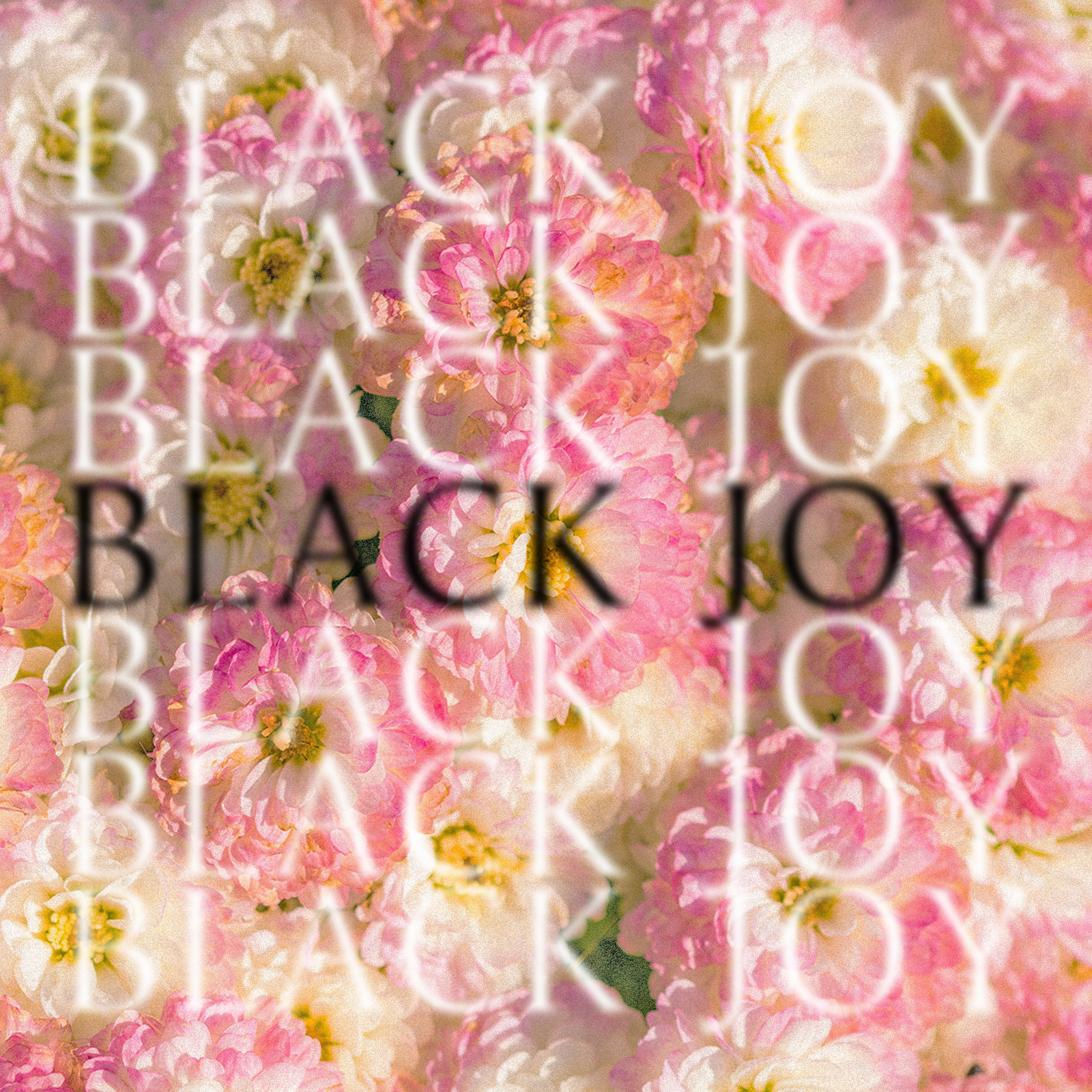Pink flowers with repeating text reading BLACK JOY overlayed