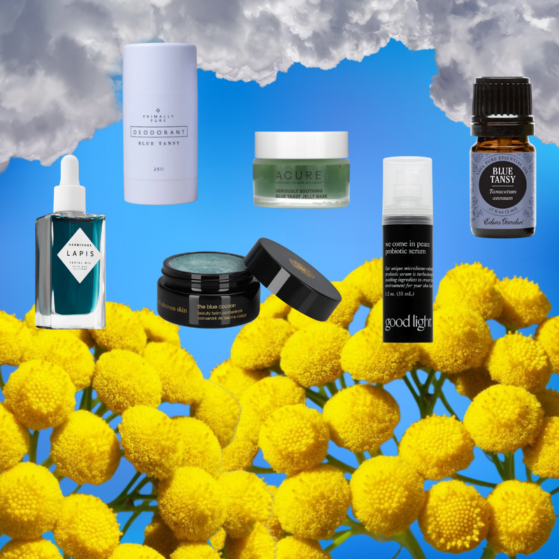 Everything you need to know about blue tansy skincare
