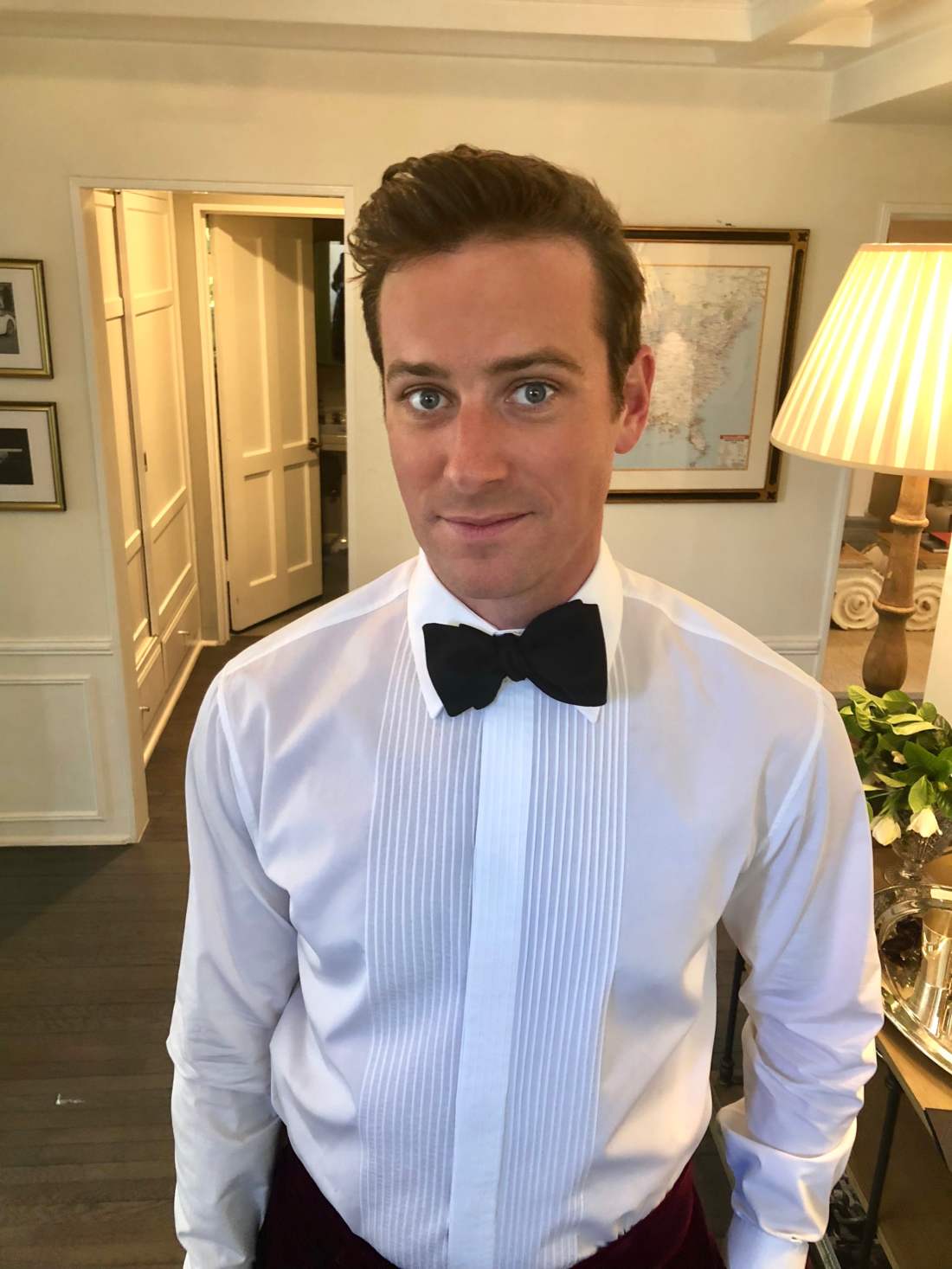 Armie Hammer oscars