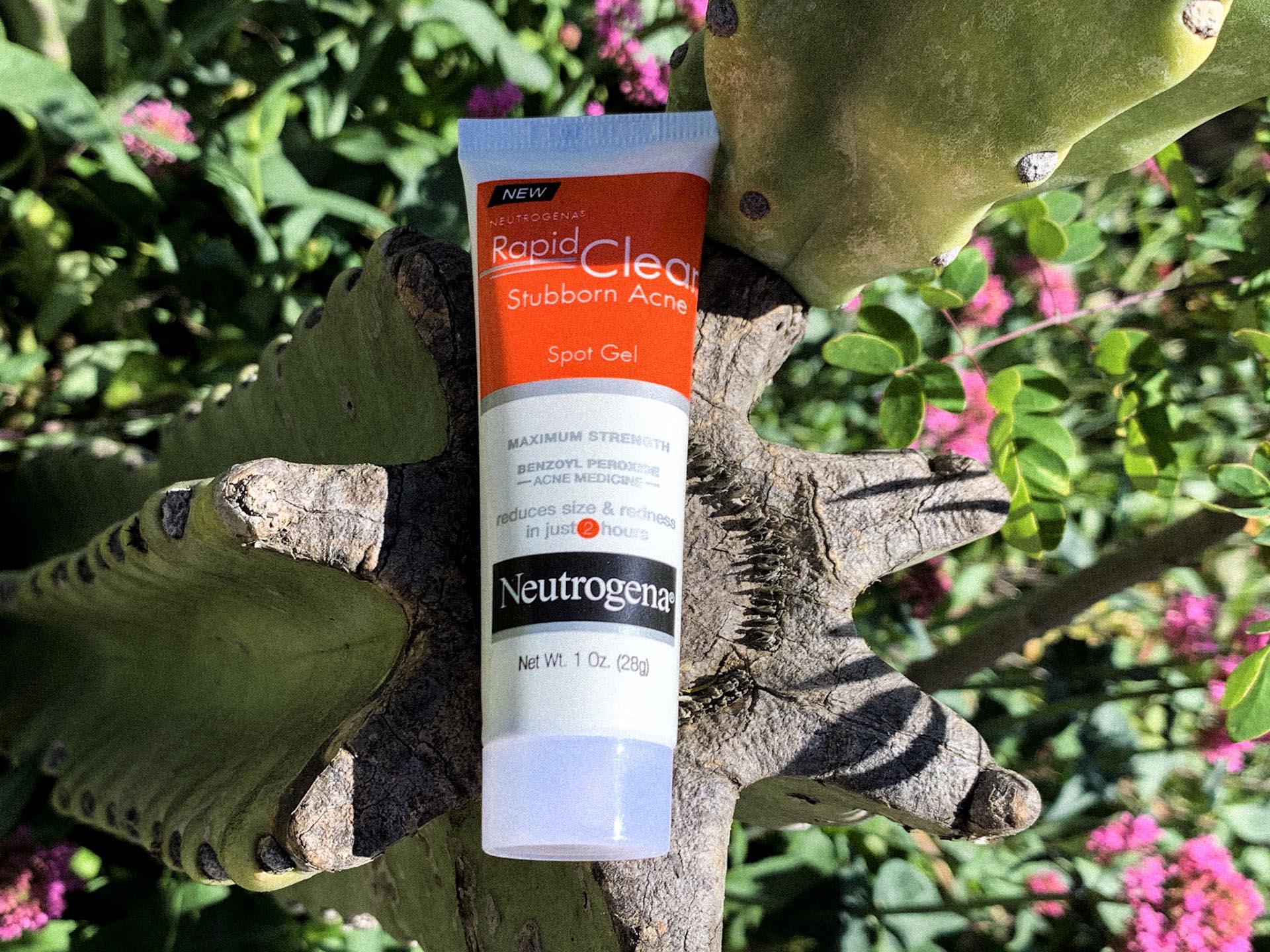 Neutrogena's rapid clear acne gel destroyed my cystic in a day
