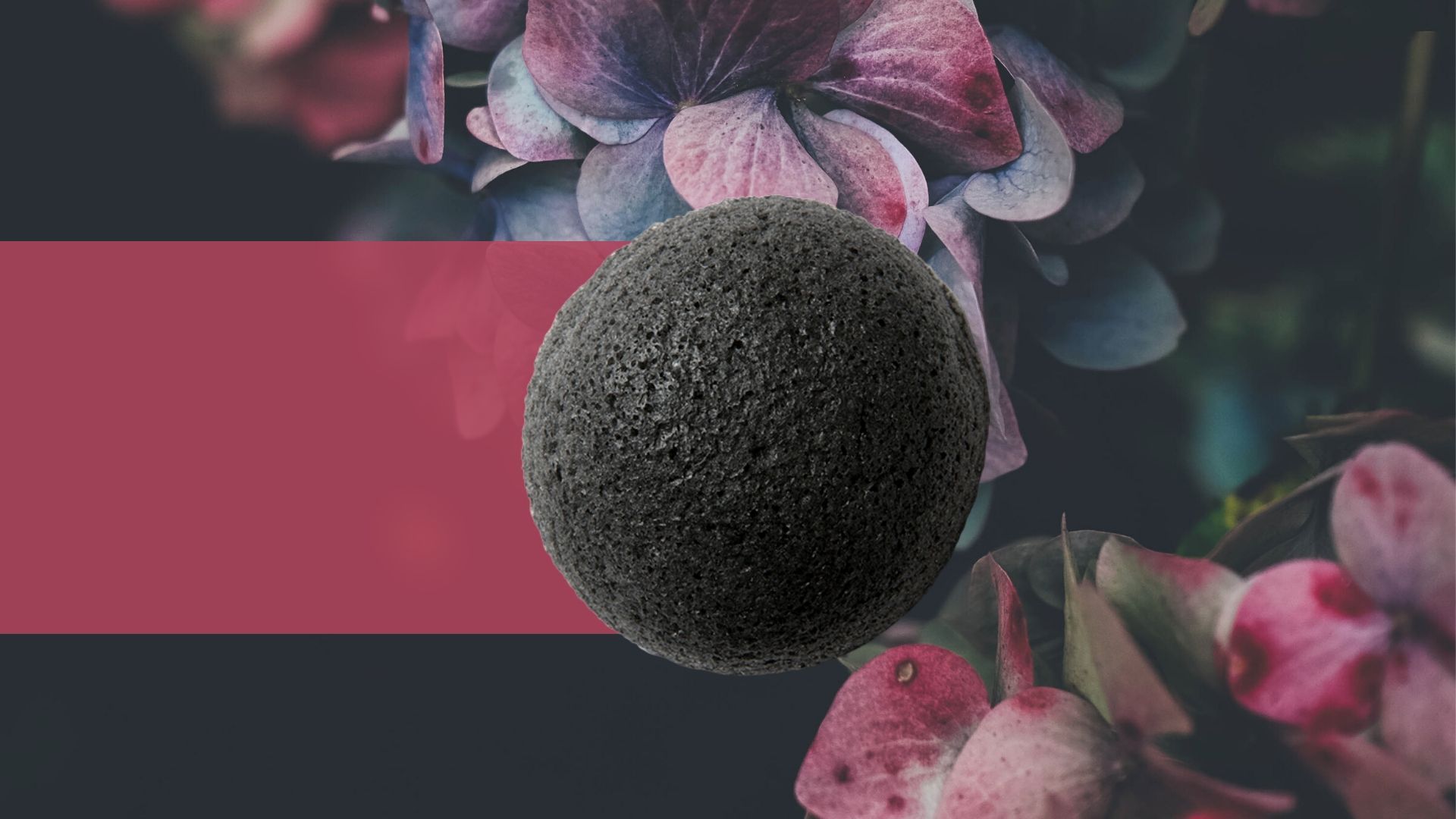 Erborian Charcoal Konjac Sponge