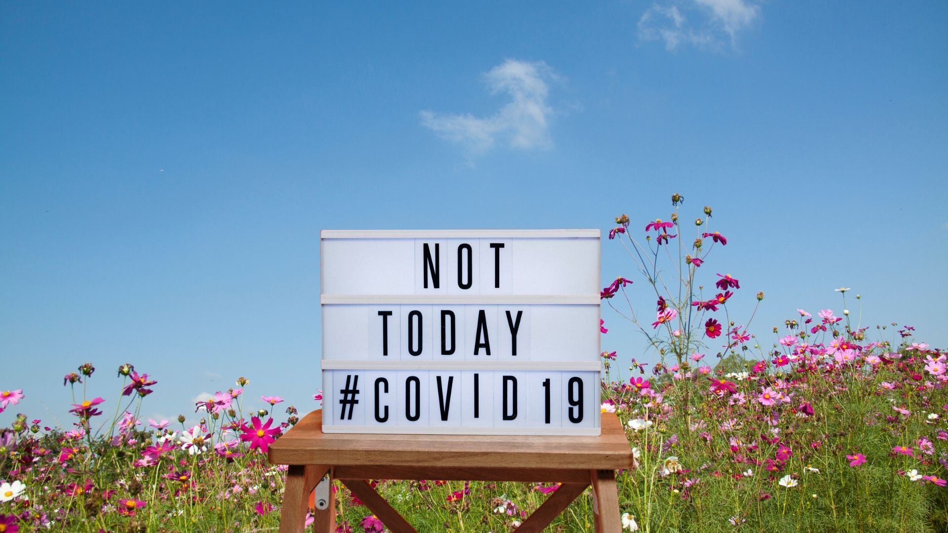 Covid19 mental health and coping