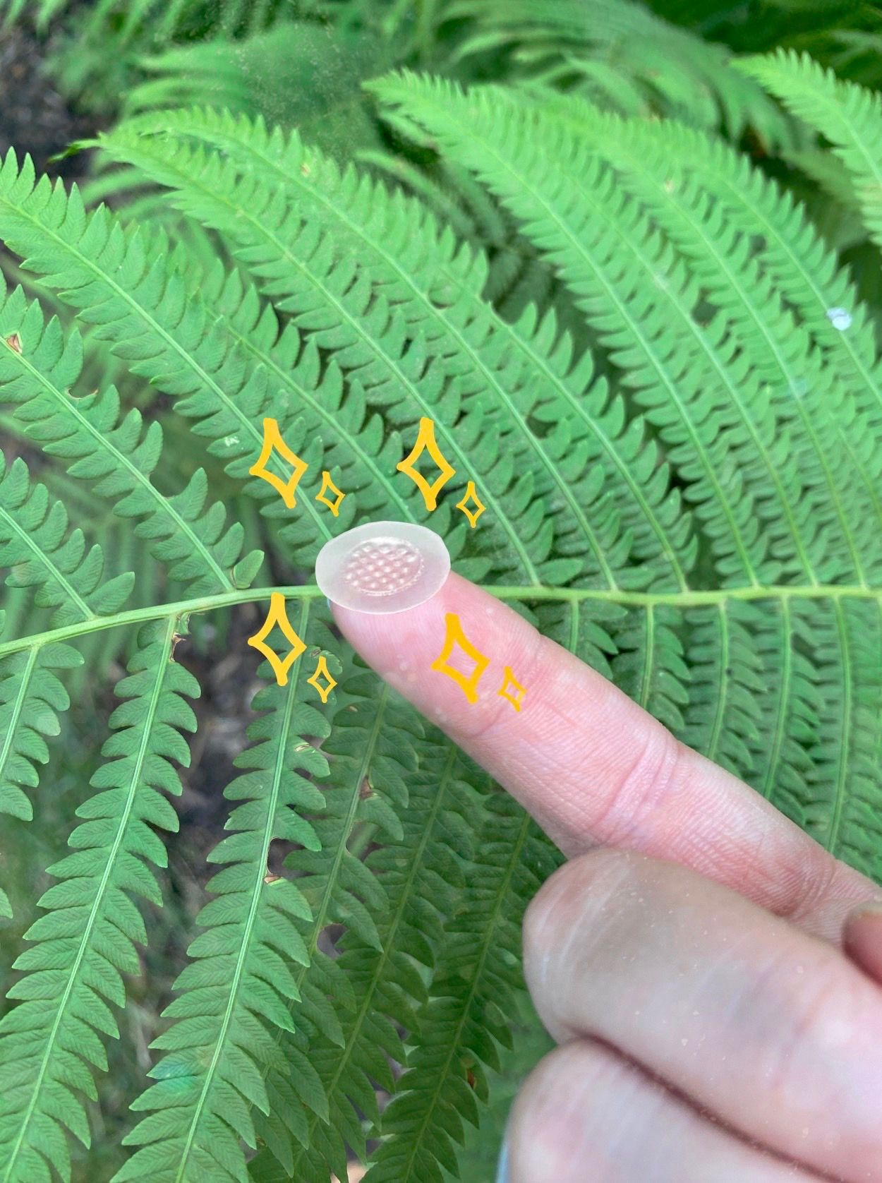 hyperfade patch on finger with fern background and yellow sparkles